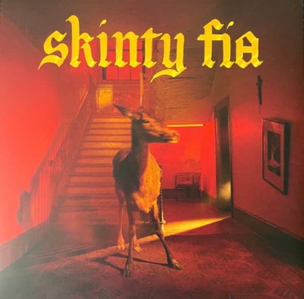 Fontaines D.C. — Skinty Fia cover
